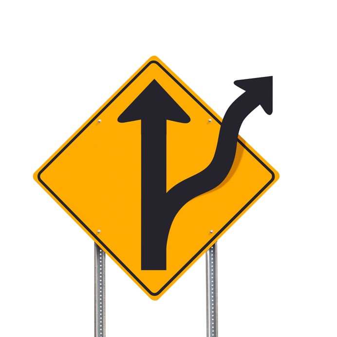 The importance of being a flexible leader who can change direction (essay)